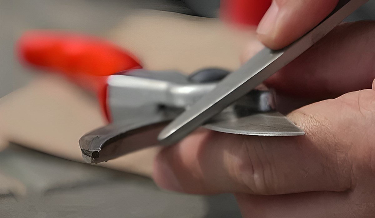 Close-up of hand cleaning pruning shears with steel wool and oil, demonstrating how to care for pruning tools and prevent rust.