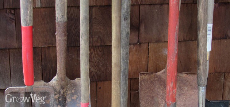 Well-maintained wooden handled garden tools like spades, forks, and hoes, ready for garden maintenance after cleaning and oiling.