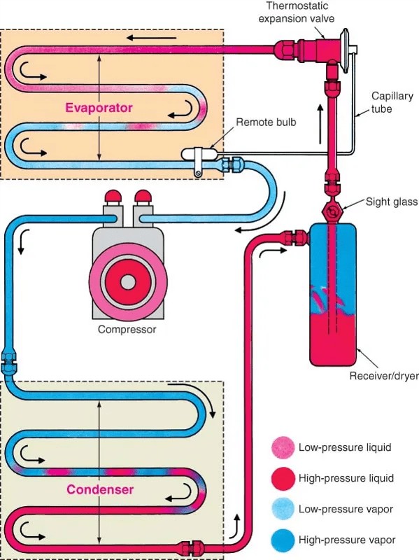 Car AC System Diagram showing Compressor, Condenser, Dryer, Expansion Valve, and Evaporator